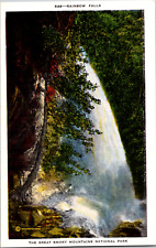 Vtg 1920's Rainbow Falls Great Smokey Mountain National Park Tennessee Postcard  picture