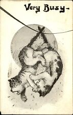 Very Busy fighting cats feline artist Fred T Cavally ~ mailed 1911 picture
