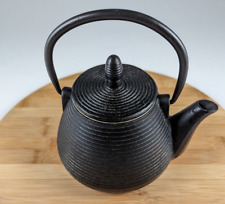 Japanese Nambu Tekki Cast Iron Teapot with Lid and Strainer From Morioka, Japan picture