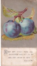 1800s Victorian Trade Card - Religious Card- Plums -Prov  iv. 23. -#b1 picture
