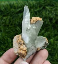 Chlorite Included Tessin Habit Quartz crystal with Albite & Muscovite mica, 58 g picture