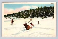 Yellowstone National Park, Elk in Snow, Series #10135, Vintage Souvenir Postcard picture