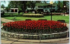 Postcard - Colorful tulip planting in Pella's Central Park - Pella, Iowa picture