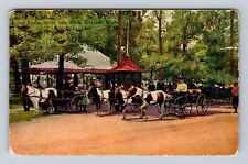 Detroit MI-Michigan, Belle Isle Park, Pony Carts, Antique Vintage c1911 Postcard picture