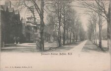 Buffalo, NY: Delaware Avenue, 1904 - Erie County, New York HL Woehler Postcard picture