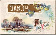 Vintage Winsch  NEW YEAR Postcard Bluebirds / Winter Town Scene - 1911 Cancel picture