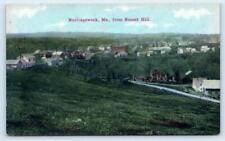 NORRIDGEWOCK, Maine ME ~ Birdseye from SUNSET HILL ca 1910s Postcard picture