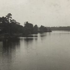 Vintage Sepia Photo New River State Park North Carolina Trees Water Outdoors  picture