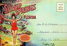 1935 SILVER SPRINGS FLORIDA VINTAGE  POSTCARD PACKET - DD-13 picture