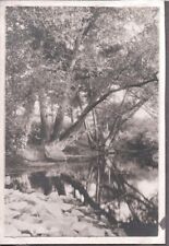 VINTAGE PHOTOGRAPH 1918-22 SCENIC TREES CREEK VIEW OGUNQUIT MAINE OLD PHOTO picture
