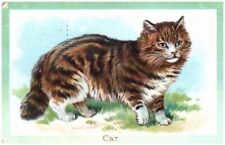 Vintage R Tuck Postcard Embossed Cat Domestic Animal Series picture