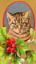 c1905 Christmas Cat, Holly Berries, Mistletoe Vtg Postcard P12 BN3 embossed picture