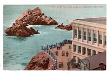 Postcard CA Cliff House Restaurant & Seal Rocks San Francisco California Antique picture