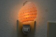 SPOTTED BANDED TUN SEA SHELL NIGHTLIGHT KITCHEN BATHROOM #7344 picture