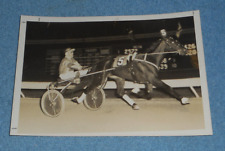 1975 Harness Racing Press Photo Horse 