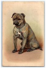1912 Bull Dog Animal Embossed Elizabeth Illinois IL Antique Postcard picture
