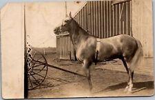 RPPC Horse outside barn near cart or plow picture