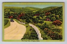 Allegan MI-Michigan, General Greetings Car Road, Antique, Vintage Postcard picture