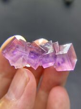 Exquisite natural pink purple multi-layer Phantom window cubic fluorite crystal picture
