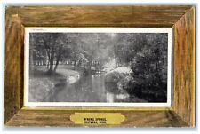 1908 Mineral Springs Trees Scene Owatonna Minnesota MN Posted Vintage Postcard picture