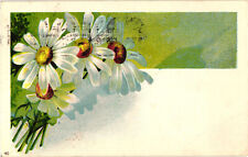 Daisies Floral Embossed Postcard Posted picture