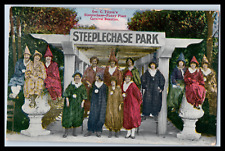 Vintage Postcard c1914 Carnival Beauties Funny Place Steeplechase Divided Back picture