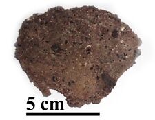 NEW Tisserlitine 001 LUNAR, feldspathic regolith breccia, complete endcut 63.4gr picture
