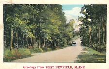 Vintage Postcard  MAINE COUNTRY DRIVING GREETINGS FROM WEST NEWFIELD POSTED picture