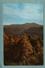 Postcard Monongahela National Forest Marlinton West Virginia WV picture