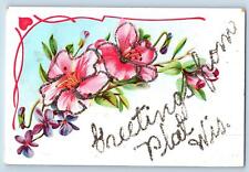 c1920's Greetings From Platteville Glitters Wisconsin WI Correspondence Postcard picture