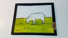 DEP Glass Magic Lantern Slide Photo DRAWING OF A SINGLE SHEEP IN GREEN PASTURE picture