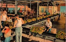 Vintage Linen Postcard- Banana Port, New Orleans, Louisiana- Unposted Excellent picture