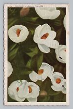 Postcard Southern Magnolia Flowers c1942 picture