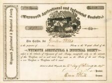 Weymouth Agricultural and Industrial Society - Stock Certificate - General Stock picture