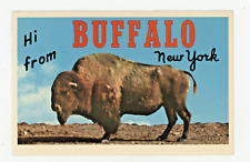 Vintage Postcard HI FROM BUFFALO NEW YORK STATUE POSTED CHROME 1976 TEICH picture