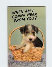 Postcard When Am I Gonna Hear From You? with Dog Basket Picture picture