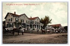 Butts Hotel and Barrymore Catskill Mountains New York NY 1907 DB Postcard V14 picture