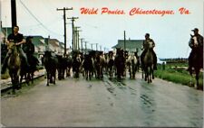 Vintage Postcard Pony Drive Main Street Chincoteague Virginia A9 picture
