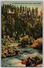 Vintage Linen Postcard - Spearfish Canyon Black Hills SD - Posted 1946 picture