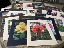 Vtg. 8x10 Color Photo Matted Lot of 28 Flowers Floral Close Ups of Garden Beauty picture