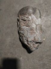 Fossilized Alien Head picture