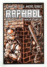 Raphael Teenage Mutant Ninja Turtles #1 Eastman 1st Printing VG+ 4.5 1985 picture