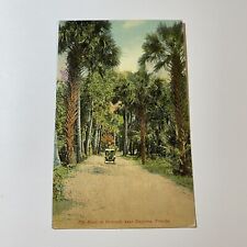 Road To Ormond Near Daytona FL Postcard Posted 1917 Tall Trees VTG Car picture