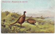 Pheasants-Artist -G.E. George Edward Lodge-Art-Antique Postcrd picture