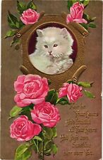 1910 White Kitten Cat Gold Framed Portrait Pink Roses Embossed Postcard picture