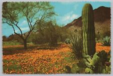 State View~Desert Poppies Saguaro & Prickly Pear Cacti~Continental Postcard picture