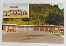 NEW FLAMINGO MOTEL & DINER  in West Nanticoke, Pennsylvania Vintage Postcard picture