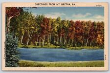 Pennsylvania Greetings From Mt. Gretna  Vintage Postcard picture