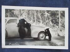 RP Bears & Car Postcard 1947 Cascade Summit Oregon Cancel picture