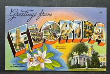 Postcard Large Letter Greetings From Florida State Capitol Oranges Fish picture